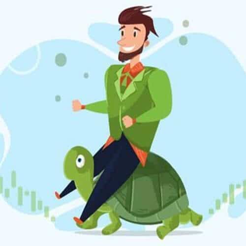 استراتژی فارکس معامله گران لاک پشتی