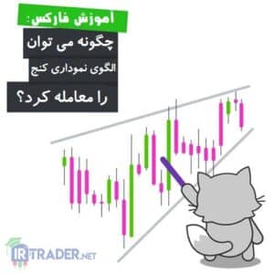 الگوی گوه