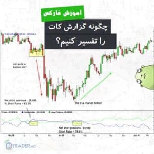 تفسیر گزارش کات