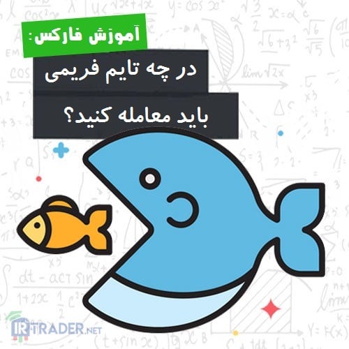 معامله گر خرد