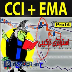 استراتژی ترکیبی